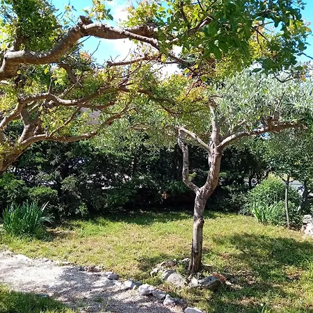 Apartament Loris Novi Vinodolski
